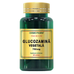 Glucozamina Vegetala 750 mg  Premium