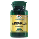 Astragalus Premium 450 mg, 60 capsule