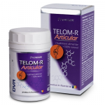 Telom R articular_DVR Pharm