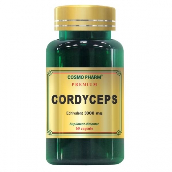 Cordyceps 300mg Premium